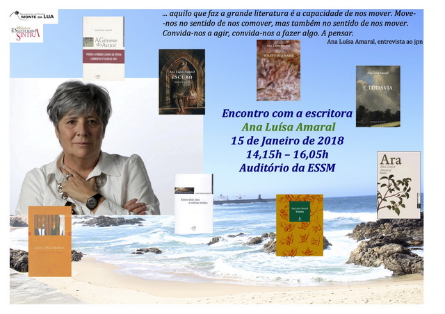 Cartaz AnaLuisaAmaral resize