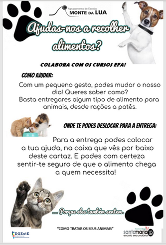 Afeto Partilhado2 resize