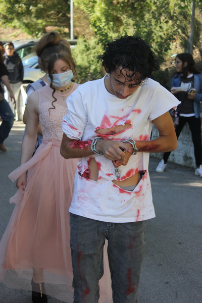 IMG 9182 Cópia resize